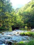 Herault river